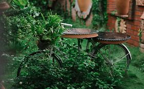 Mekong Pottery Homestay, Green-Friendly & Boat Tour